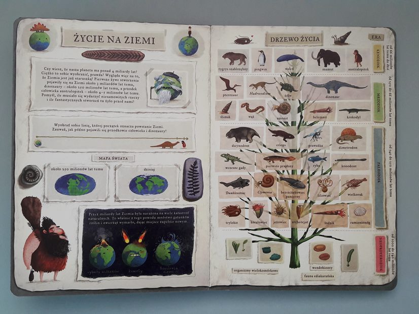 Historia Ziemi i drzewo życia