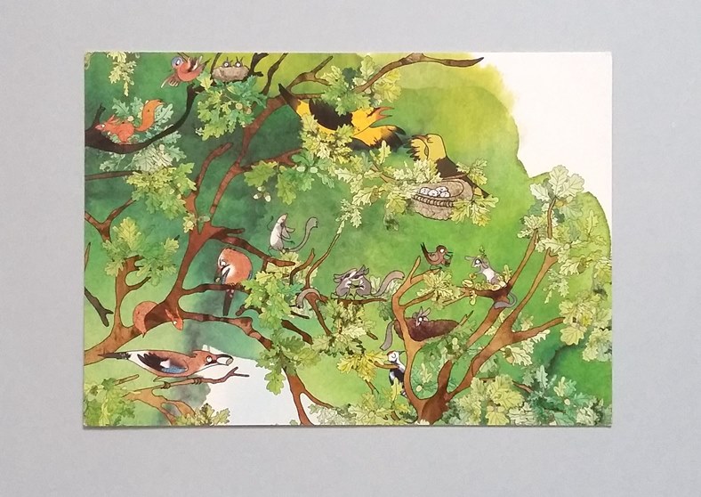 Kadr z książki drzewo, ptaki na gałęzi